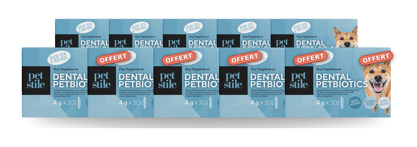 Dental PetBiotics — 10 boîtes